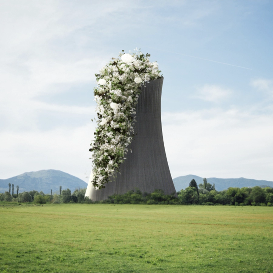 Energy Efficiency & Decarbonization