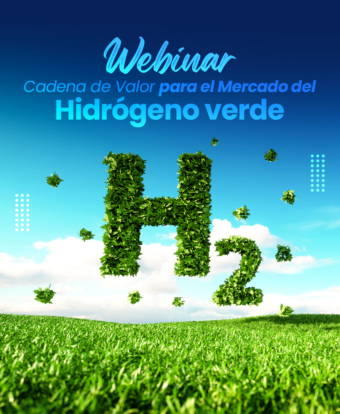 Webinar conducted in Guatemala under the auspices of the Galileo University’s Institute of Energy Resources (IRE)